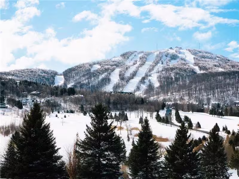 Splendid Mountain View Condo