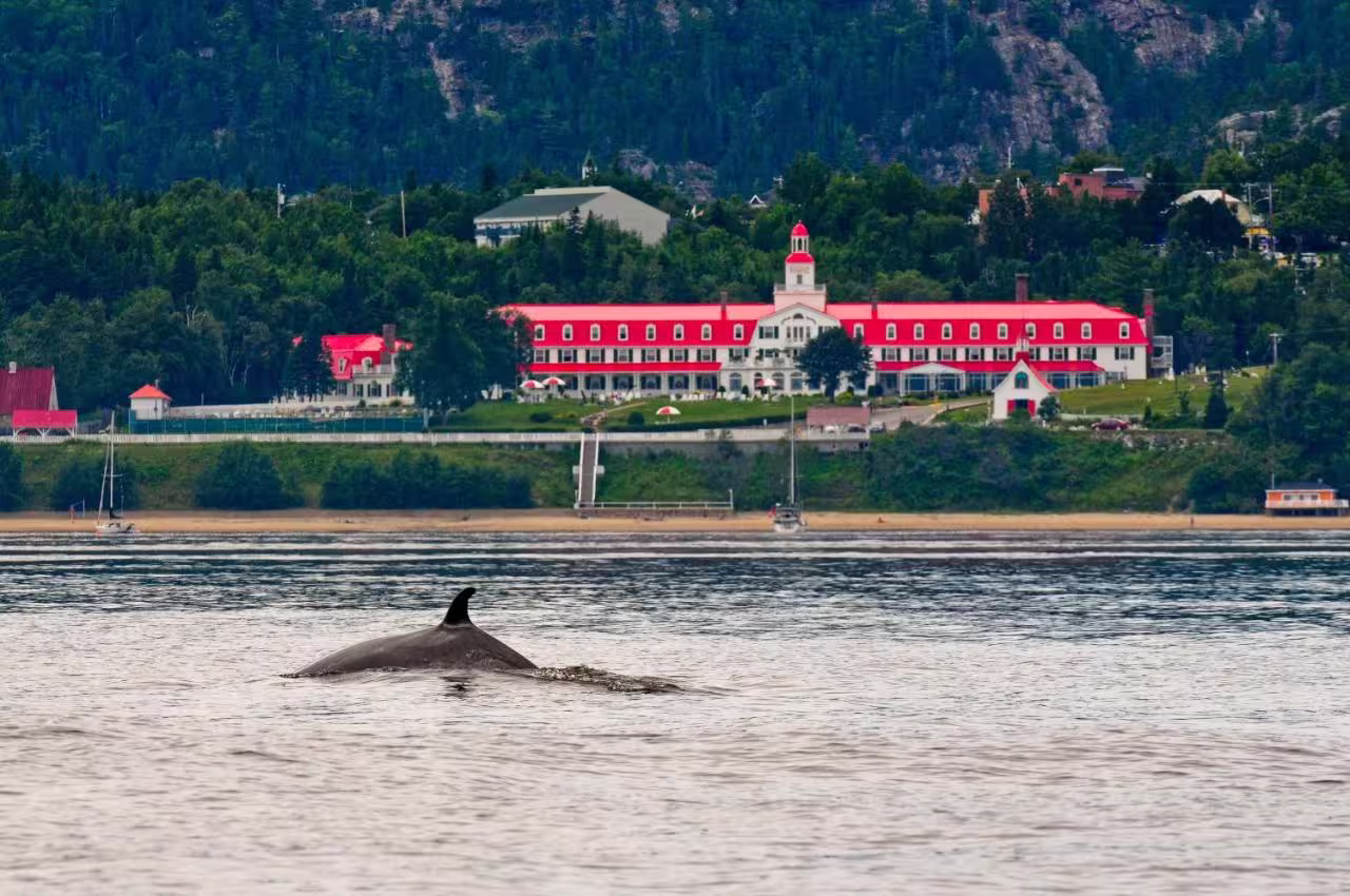Hôtel Tadoussac — hébergement recommandé