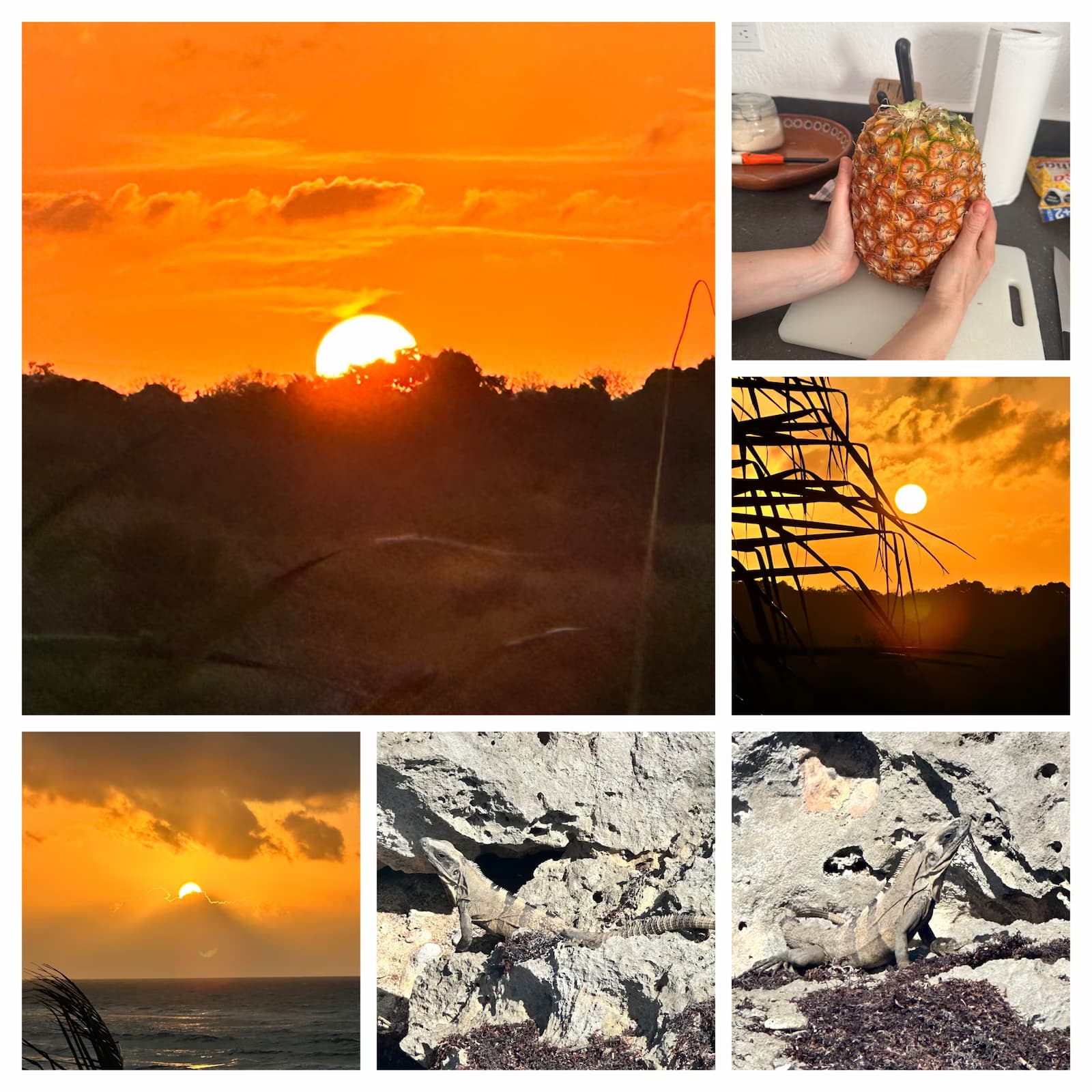 Levers et couchers de soleil depuis la terrasse à Akumal, Mexique